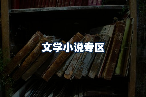 文学小说PDF展示